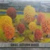 Gale Force Nine Battlefield In A Box: Small Autumn Wood