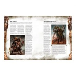 Games Workshop Battletome : Beasts Of Chaos