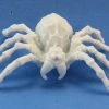 Dungeons & Dragons Reaper Bones - Giant Spider 2 Dungeons & Dragons Reaper Bones - Giant Spider