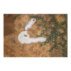 Games Workshop Realm Of Battle : Blasted Hallowheart 13 Games Workshop Realm Of Battle : Blasted Hallowheart