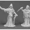 Reaper Bones Dark Heaven Bones: Cultist Priests (2) Dungeons & Dragons