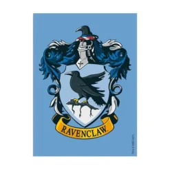 Gaming Accessories Dragon Shield: Ravenclaw (100)