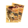 Game Plus Products Gaming Accessories GPP Deck Sleeves - Song Of Flame And Fury