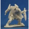 Dungeons & Dragons Reaper Bones- Rogan