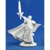 Dungeons & Dragons Reaper Bones- Turanil, Male Elf Paladin