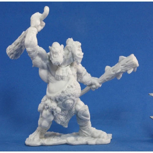 Dungeons & Dragons Reaper Bones - Nor'okk Ettin 3 Dungeons & Dragons Reaper Bones - Nor'okk Ettin