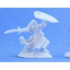 Dungeons & Dragons Reaper Bones-Human Fighter