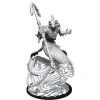 Wizkids Dungeons & Dragons Critical Role Unpainted Miniatures: W1 Shallowpriest