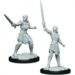 Wizkids Critical Role Unpainted Miniatures: W1 Female Human Dwendalian Empire Fighter
