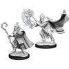 Wizkids Critical Role Unpainted Miniatures: W1 Male Hobgoblin Wizard & Druid